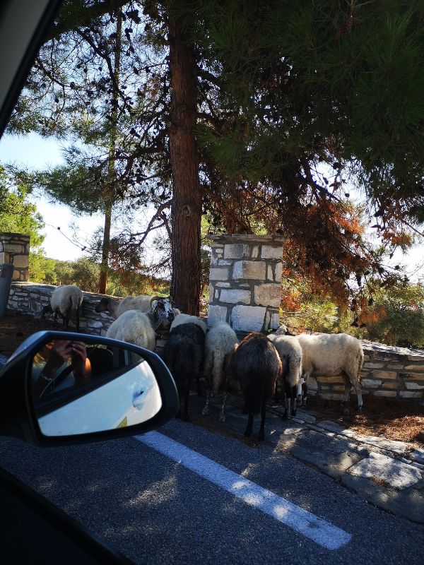 Ruch drogowy w Grecji greckie kefi.pl 1