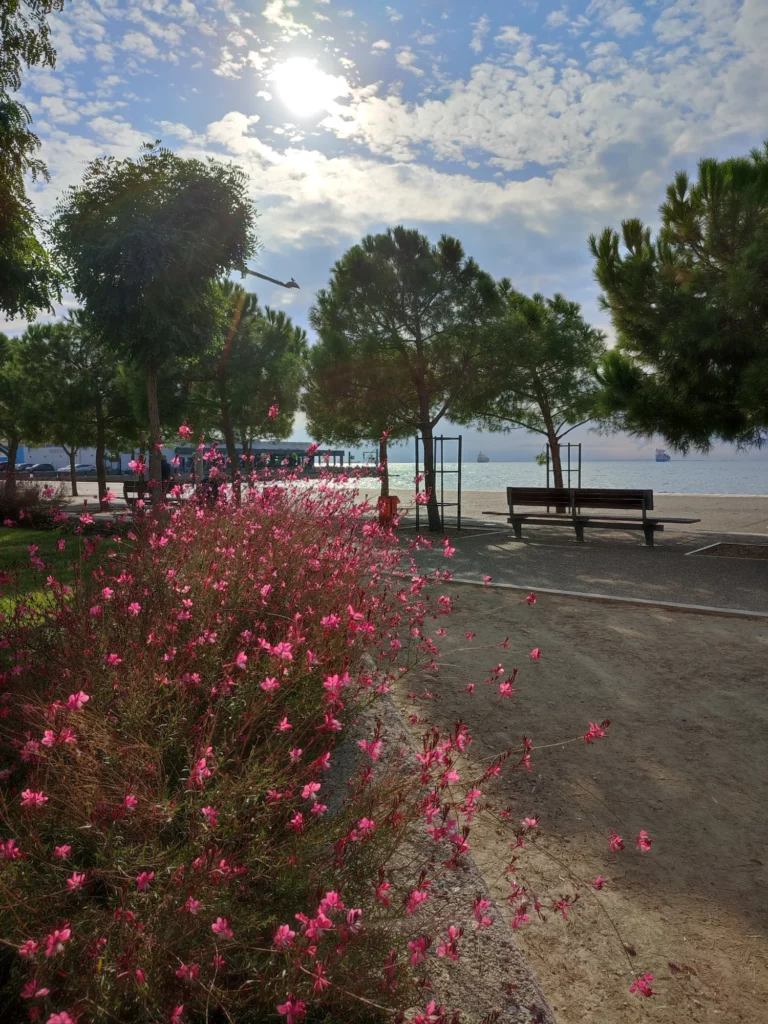 Grecja kontynentalna - Saloniki - greckiekefi.pl