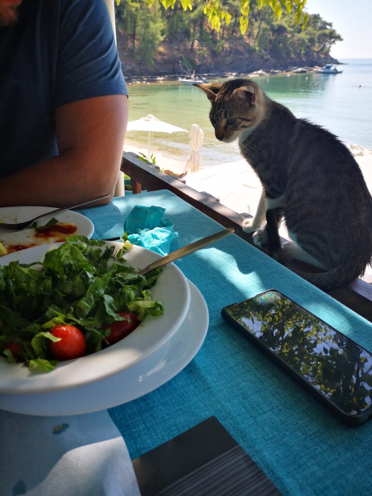 Co robić w Grecji - greckie kefi