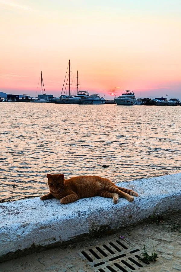 Marina Alimos – widok na port