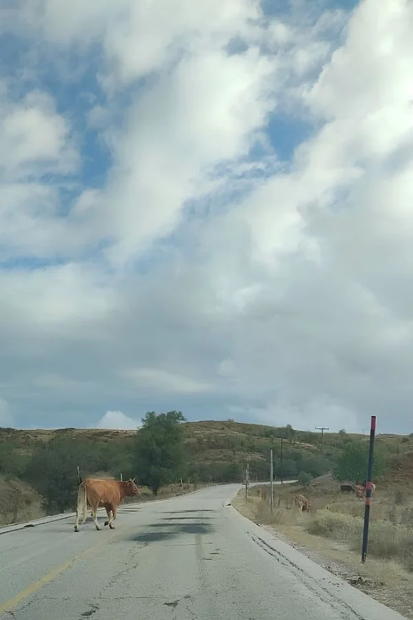 Górska trasa Katara Pass jako alternatywa dla autostrady Egnatia Odos