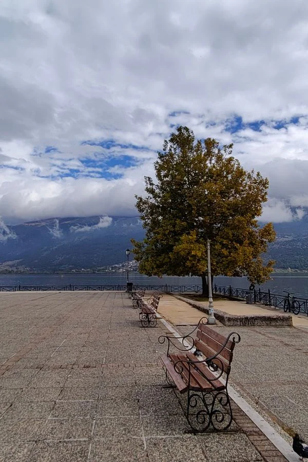 Jezioro Pamvotida w Ioanninie podczas jesiennej pogody